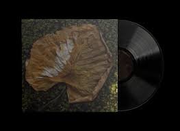 WW033LP.jpg Adela Mede - Ne L?©pj a Vir?°gra Vinyl Record - Image 1