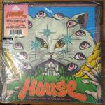 ASEI KOBAYASHI&MICKIE YOSHIN - HOUSE (HAUSU)