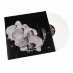 ASSORTED ORCHIDS - Assorted Orchids Vinyl Record