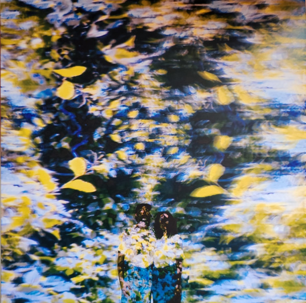 XAG066LP.jpg CHATON LAVEUR - LABYRINTHE - Image 1