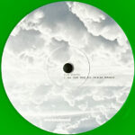 RICO PUESTEL - I See Your True Dub Shining