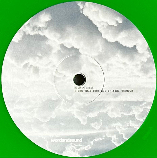 XBITX3.jpg RICO PUESTEL - I See Your True Dub Shining - Image 1