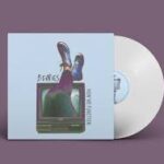 BERRIES - HOW WE FUNCTION Vinyl Record