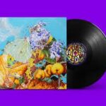 BENNETT WILSON POOLE - I SAW A STAR BEHIND YOUR EYES Vinyl Record