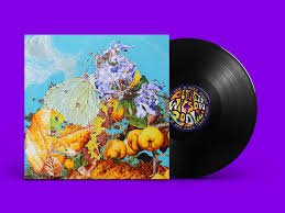 ZAP2LP.jpg BENNETT WILSON POOLE - I SAW A STAR BEHIND YOUR EYES Vinyl Record - Image 1