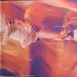 BICEP - ISLES Vinyl Record