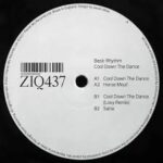 BASIC RHYTHM - COOL DOWN THE DANCE Vinyl Record