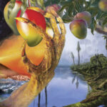 TIMELASH - A Morphology Of Wonders
