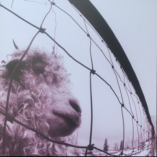 19658836871.jpg Pearl Jam - Vs. - Image 1