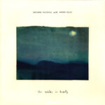 Marianne Faithfull Warren Ellis - She Walks in Beauty