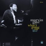 MARVIN GAYE - WHATS GOING ON