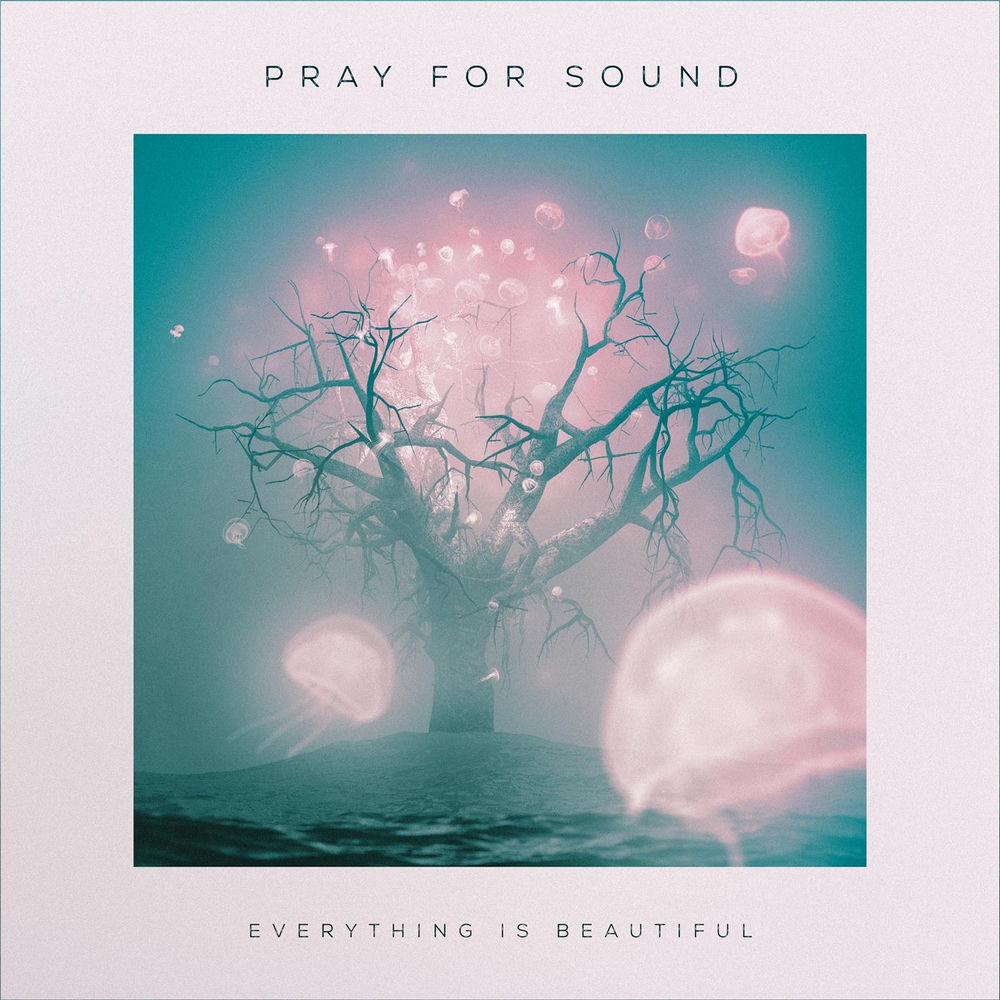 619159822144.jpg PRAY FOR SOUND - EVERYTHING IS BEAUTIFUL - Image 1
