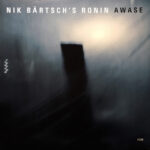 NIK BARTSCHS RONIN - AWASE