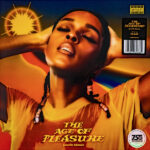 MONAE JANELLE - AGE OF PLEASURE