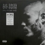 Lil Skies - Life of a Dark Rose