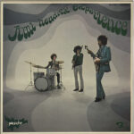 JIMI HENDRIX EXPERIENCE - Axis Bold As Love