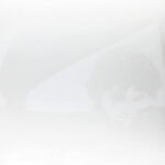 JOHN MAYER - Continuum (Revised Standard Package)