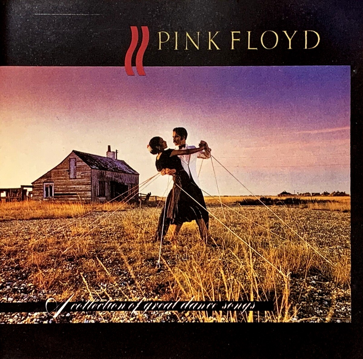 88875184351.jpg PINK FLOYD - Collection Of Great Dance Songs (180G) - Image 1
