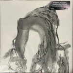 JASON GAY - The Present And The Past (Swirl Vinyl)