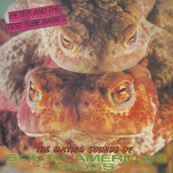 AHOYLP429.jpg PETER AND THE TEST TUBE BABIES - MATING SOUNDS OF SOUTH AMERICA - Image 1