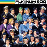 PLATINUM 900 - PLATINUM AIRWAYS FLIGHT 900