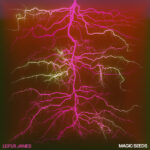 LEIFUR JAMES - MAGIC SEEDS