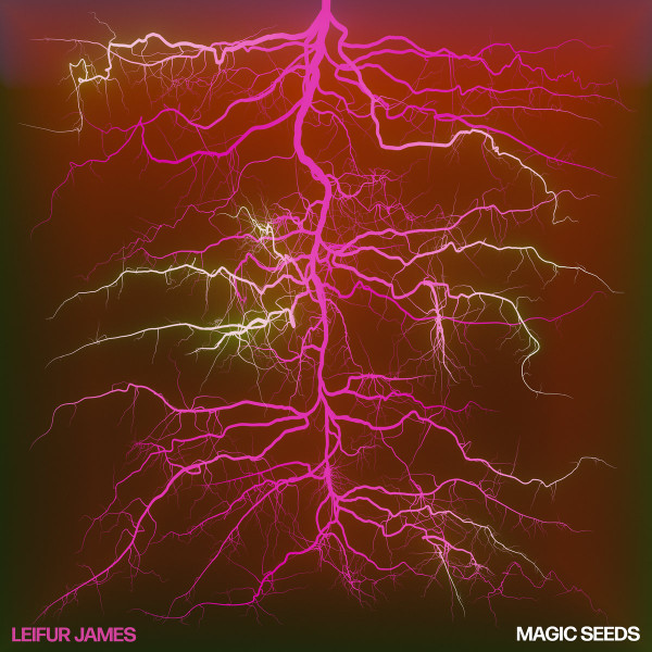 ALNLP73.jpg LEIFUR JAMES - MAGIC SEEDS - Image 1