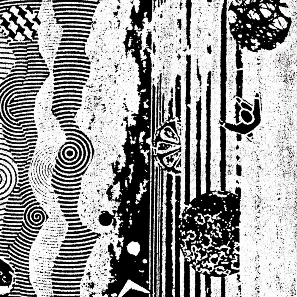 ARC0251.jpg NIGHTCRAWLERS - The Biophonic Boombox Recordings - Image 1