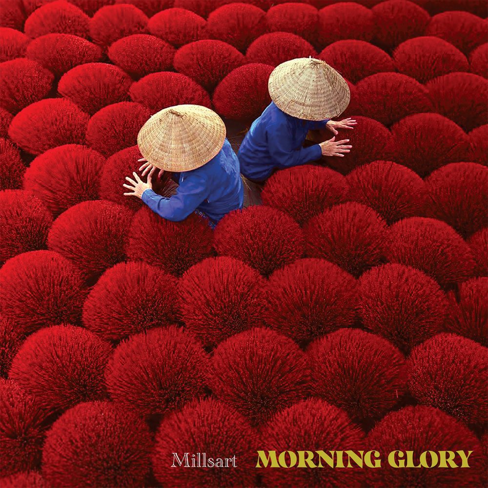 AX115.jpg MILLSART - Morning Glory - Image 1