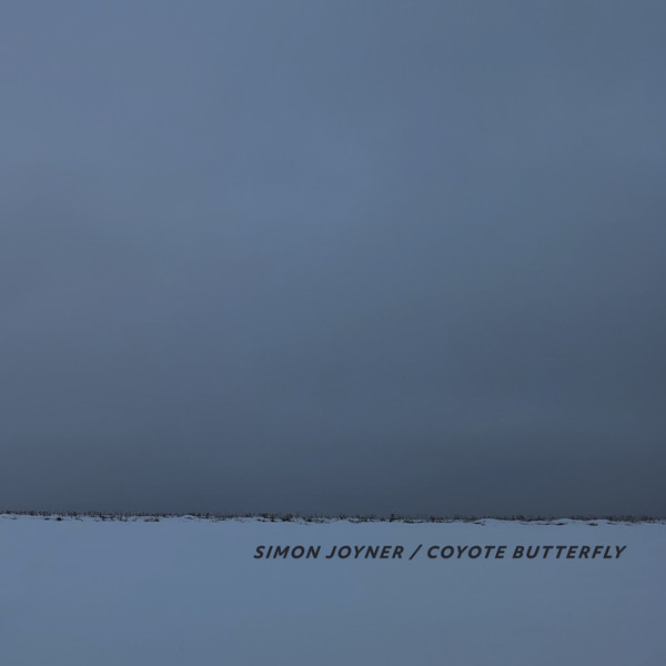 BBI0571.jpg JOYNER SIMON - COYOTE BUTTERFLY - Image 1