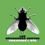 LES NEGRESSES VERTES - TOUJOURS LETE (BEST