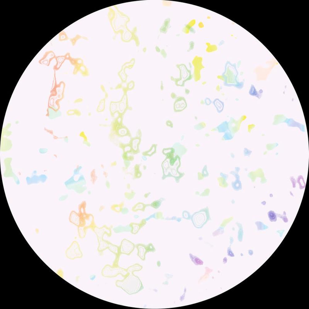 BLNK012.jpg LACK - Satin - Image 1
