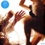 LUMP - Animal (Feat. Laura Marling & Mike Lindsay)