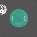 LUIZ CARLOS VINHAS / O SOM DE - TANGANICA ( TAPECAR VERSION /
