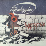 LES CALCATOGGIOS - Indestructible (Clear Orange Vinyl)