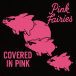 PINK FAIRIES - COVERED IN PINK