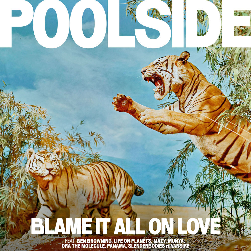 COUNT255NE.jpg POOLSIDE - BLAME IT ALL ON LOVE - Image 1