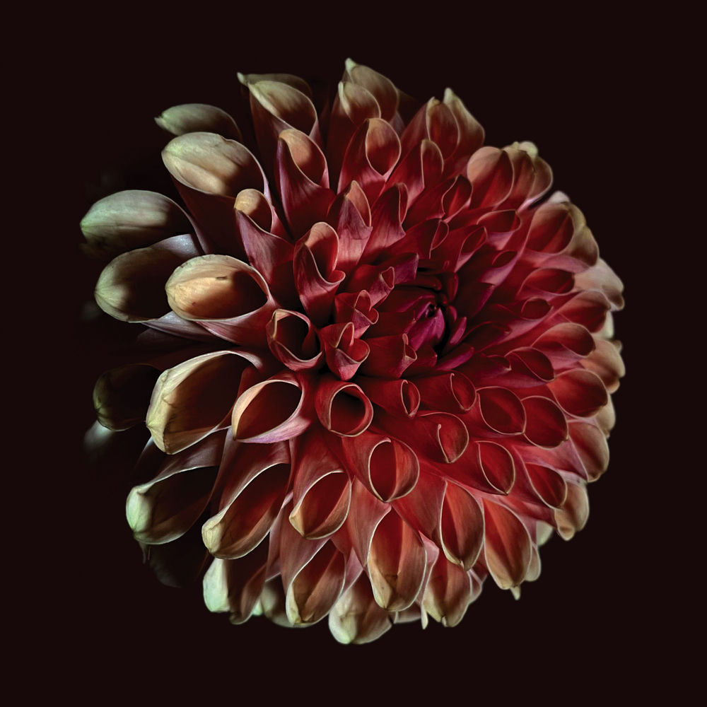 CST188LP.jpg JESSICA MOSS - UNFOLDING - Image 1