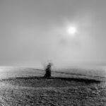 LEO SVIRSKY - Heights In Depths  Depths In Heights