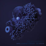 MARK-HENNING SARGENT - No Origin Lp