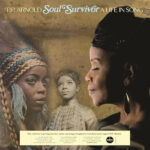 P.P. ARNOLD - SOUL SURVIVOR A LIFE IN SONG