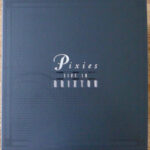 PIXIES - LIVE IN BRIXTON