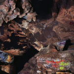 JOSEPH DECOSIMO, LUKE RICHARDSON, CLEEK SCHREY - BEEHIVE CATHEDRAL