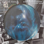 NURSE WITH WOUND - BRAINED BY FALLEN MASONRY/COOLOORTA MOON
