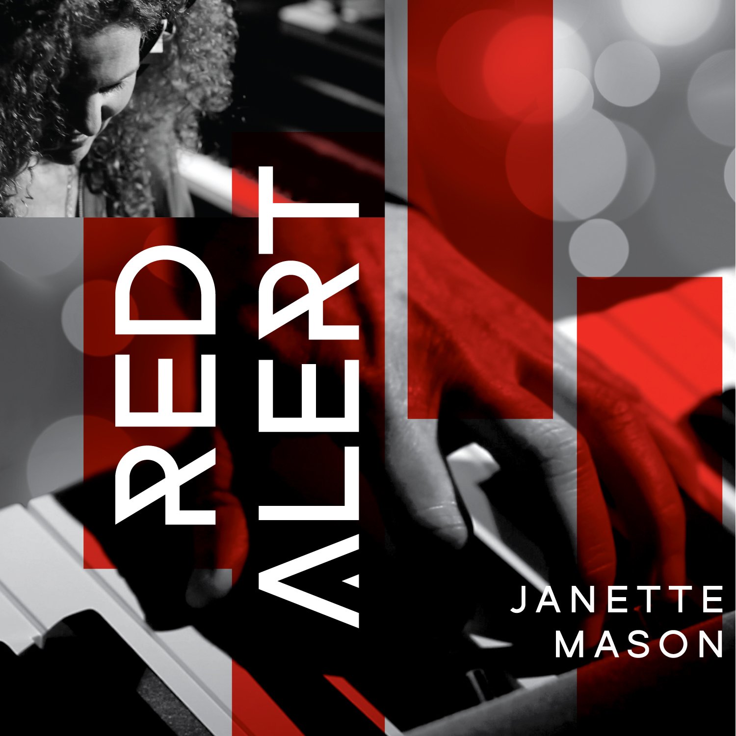 DT8558.jpg JANETTE MASON - Red Alert - Image 1