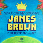 JAMES BROWN - Never Can Say Goodbye