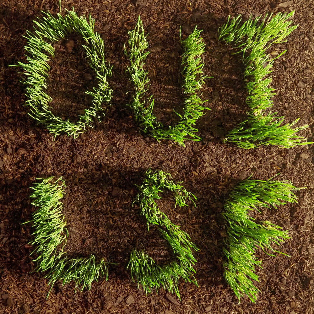 FKR1211X.jpg LES SAVY FAV - OUI LSF - Image 1