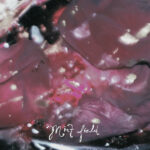 MINT FIELD - APRENDER A SER