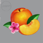 PHOENIX - BANKRUPT!