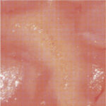 KLAMP - Hate You